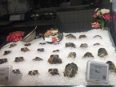 景观位-超级物种·波龙工坊(国贸店)