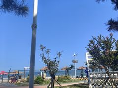 -第34届青岛国际啤酒节