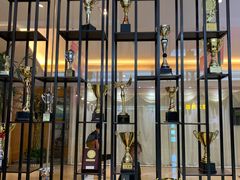 -港龙舞蹈·成人少儿舞蹈培训(深圳湾校区)