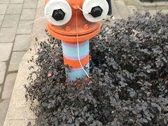 -石灰市老火锅(北滨路店)