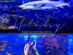 -江和美海洋公园