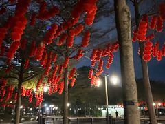 -深圳湾公园(南山区)