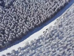 -塞罕坝国家级自然保护区