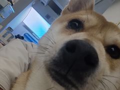 -怪兽屋·羊驼·猫咖·狗咖(俊华广场店)