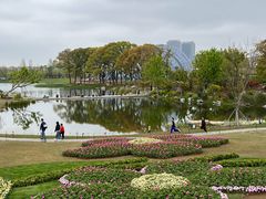 -上海植物园-4号门售票处