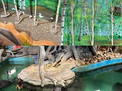 -萌宠奇缘(荣鼎店)