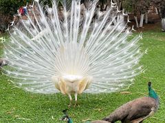 -昆明动物园