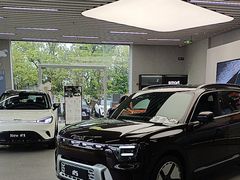 -上海浦东smart汽车全功能店(金桥店)