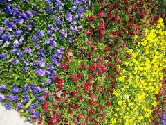 android_upload_pic-杭州花家山庄