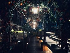 -Cohiba Atmosphere高希霸魅力俱乐部(国贸店)