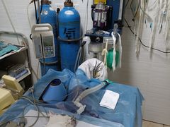 -深圳野生动物园宠物医院(西湖林语店)