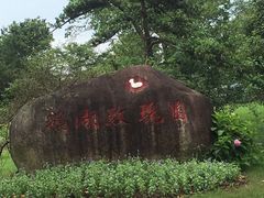 -鹅湖玫瑰文化园