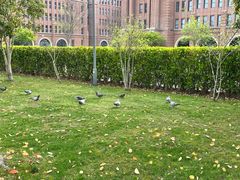 -浙江大学(海宁国际校区)