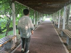 -洪泽湖古堰景区