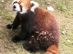 -无锡动物园·太湖欢乐园