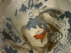 -万商花鸟市场