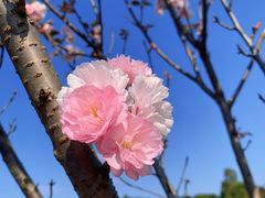 -观澜湖生态运动公社