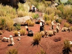 -陕西自然博物馆