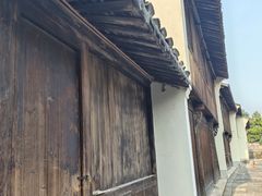 -观潮胜地公园
