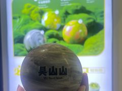 -吴山山·椰子酸奶(天河南店)