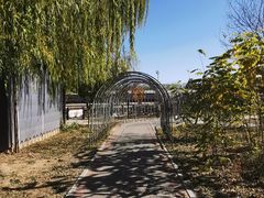 -河北村民俗体验园