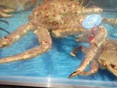 -盒马鲜生(宝地店)