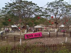-盈香心动乐园