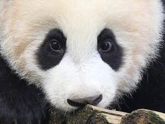 -山西会馆·晋菜·晋商宴·牌匾博物馆(胜利东街店)