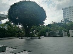 -广州白天鹅宾馆