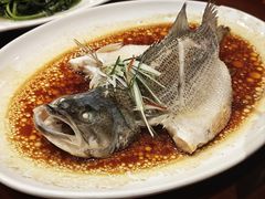 葱油蒸鲈鱼-古南都·老广东酒楼(龙江店)