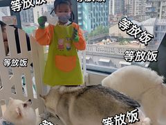 -怪兽屋·羊驼·猫咖·狗咖(俊华广场店)