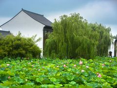 -沙家浜风景区