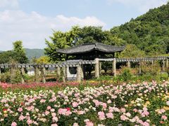 -龙寺生态园