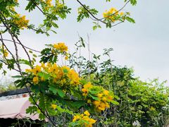 -花溪雨·森林餐厅(石基店)