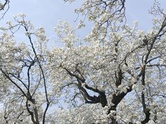 -江苏三台山国家森林公园