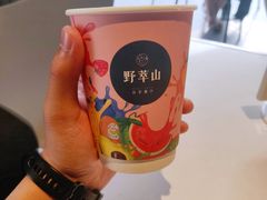 -野萃山·潮汕厚果汁(十亩地店)