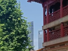 -钦赐仰殿道观