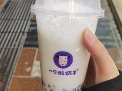 -一只酸奶牛(八一路店)