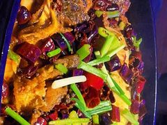 -老板恋上鱼(恒隆广场店)