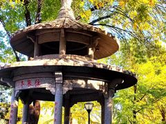 -玲珑塔公园