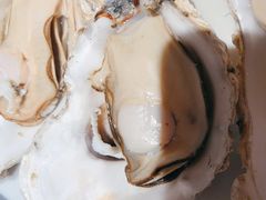 -杨氏青龙虾·羊蝎子(金盛路总店)