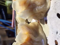 -真真鲜馄饨店(启蒙路店)