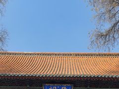 -晋祠公园