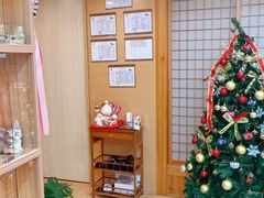 -猫十亿·布偶金渐层·曼基康矮脚猫舍(青年路店)