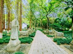 -上海方塔园