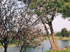 -上海多利农业发展有限公司