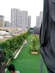 点击看大图 -可可天空农场(东部新城银泰店)