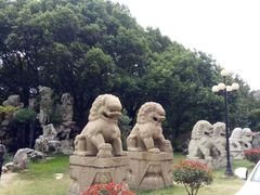 -华西村