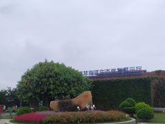 -芒洲湿地公园