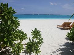 -中央格兰德岛温泉度假酒店 - 全包